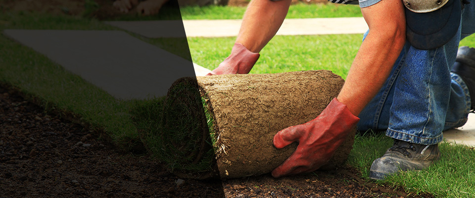 Winthrop Harbor Landscapers